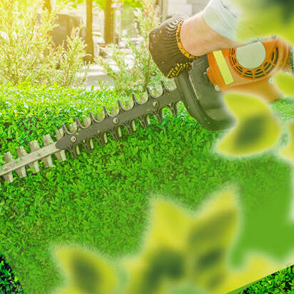 Nahaufnahme eines Mannes, der mit einer elektrischen Heckenschere eine grüne Hecke schneidet.